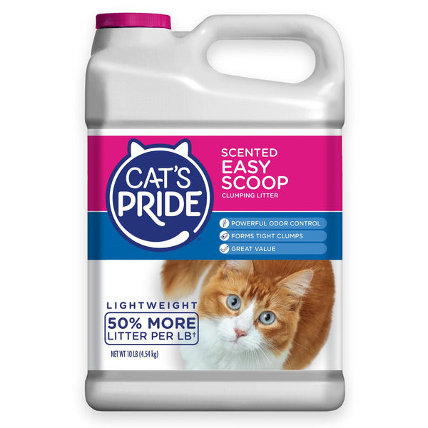 Cat&