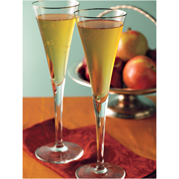 Alpine Original Spiced Apple Cider Instant Drink Mix