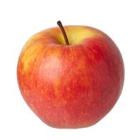 Honeycrisp Apple️