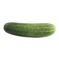 Pickling (Kirby) Cucumber️