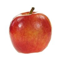 Jazz Apple️ DestGlow