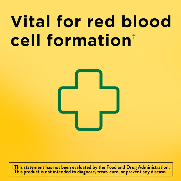 Nature Made Iron 65mg Tablets