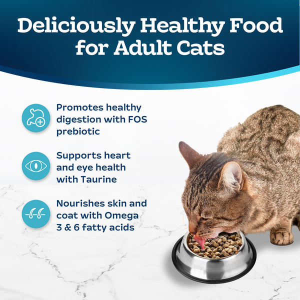 Blue Buffalo Tastefuls Sensitive Stomach Natural Adult Dry Cat Food, Chicken DestGlow