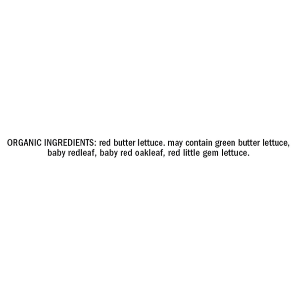 Organic Girl Whole Butter, Plus!
