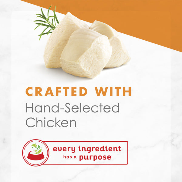 Purina Fancy Feast Broth Wet Cat Food Complement, Appetizers White Meat Chicken