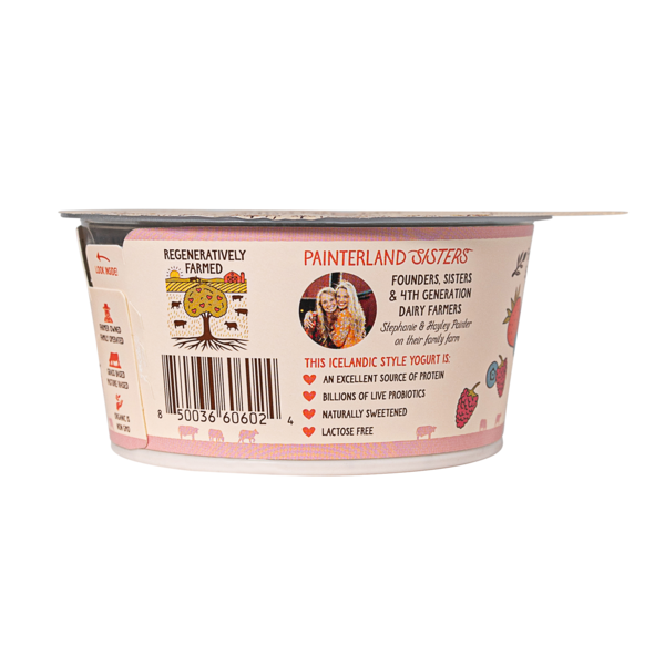 Painterland Sisters Meadow Berry Organic Skyr Yogurt