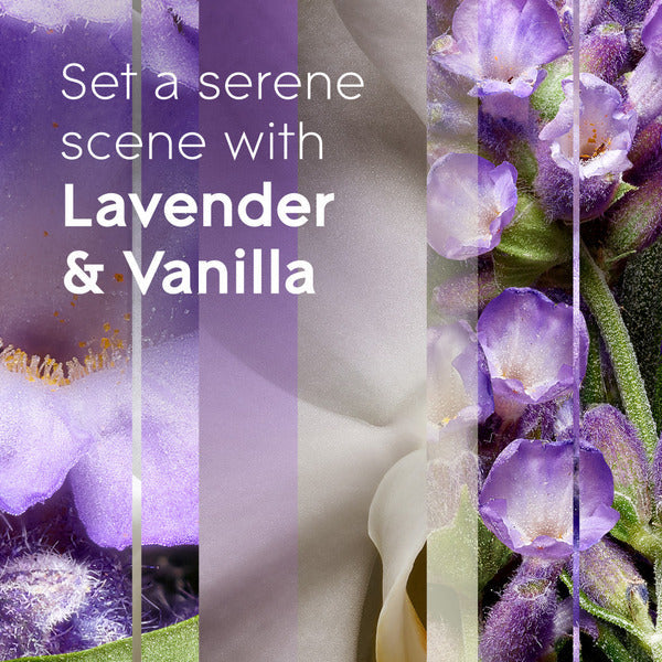 Glade PlugIns Scented Oil Refills, Air Freshener, Lavender & Vanilla