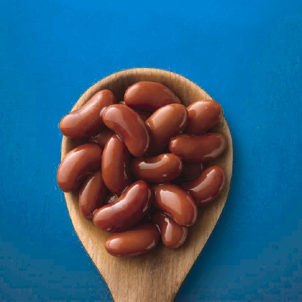 Progresso Canned Red Kidney Beans
