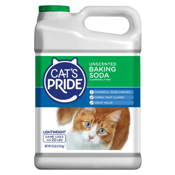 Cat&
