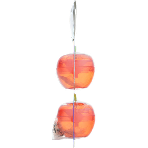Raid Fruit Fly Trap