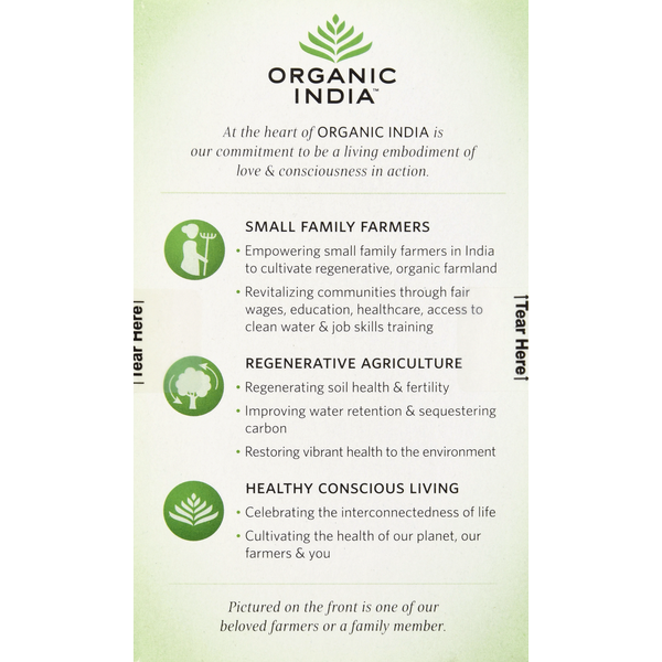 ORGANIC INDIA Tulsi Holy Basil Green Tea, Infusion Bags