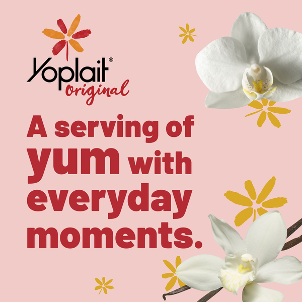 Yoplait Original Smooth Style Vanilla Low Fat Yogurt Tub