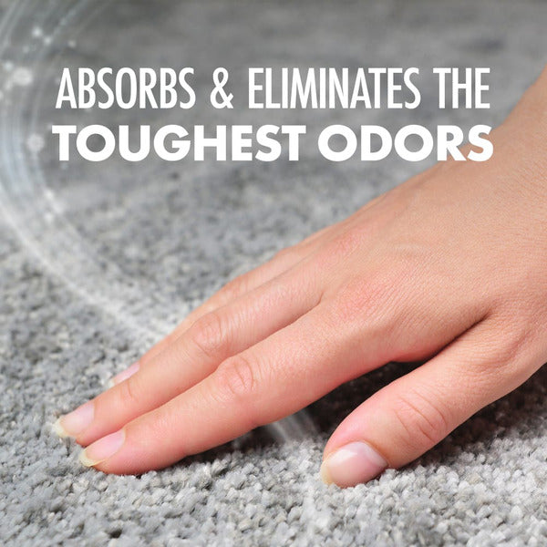 Arm & Hammer Carpet Odor Eliminator