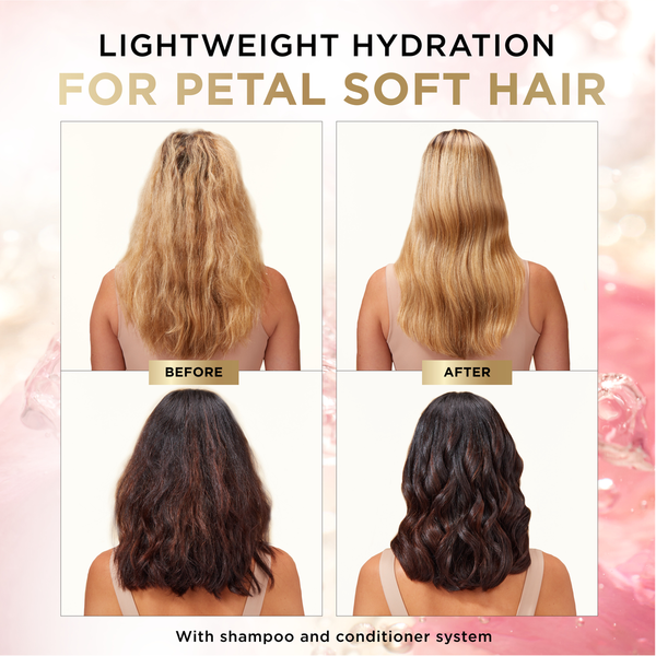 Pantene Nutrient Blends Miracle Moisture Boost Rose Water Shampoo for Dry Hair
