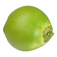 Green Coconut In Husk️ DestGlow