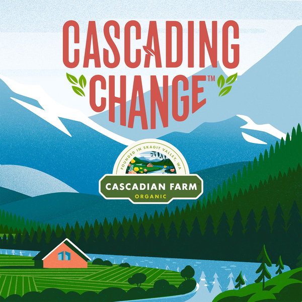 Cascadian Farm Organic Dark Chocolate Chip Chewy Granola Bars