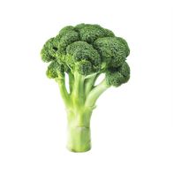 Organic Broccoli️ DestGlow