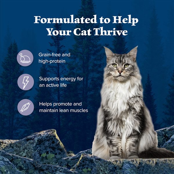Blue Buffalo Wilderness High Protein Grain Free, Natural Adult Pate Wet Cat Food, Chicken DestGlow