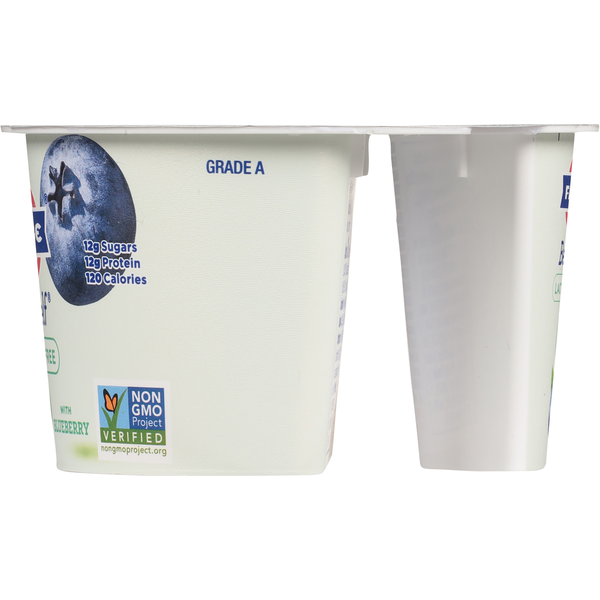 FAGE Lactose Free Reduced Fat Greek Strained Yogurt with Blueberry