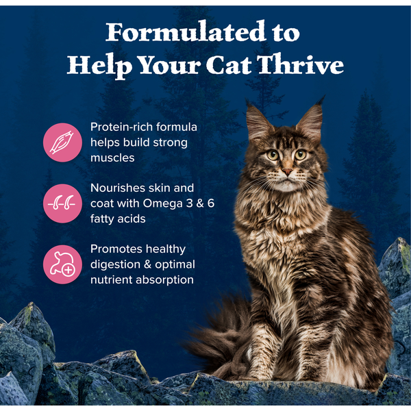 Blue Buffalo Wilderness High Protein, Natural Adult Dry Cat Food, Salmon