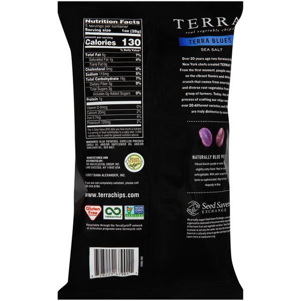 TERRA Blues Sea Salt Real Vegetable Chips