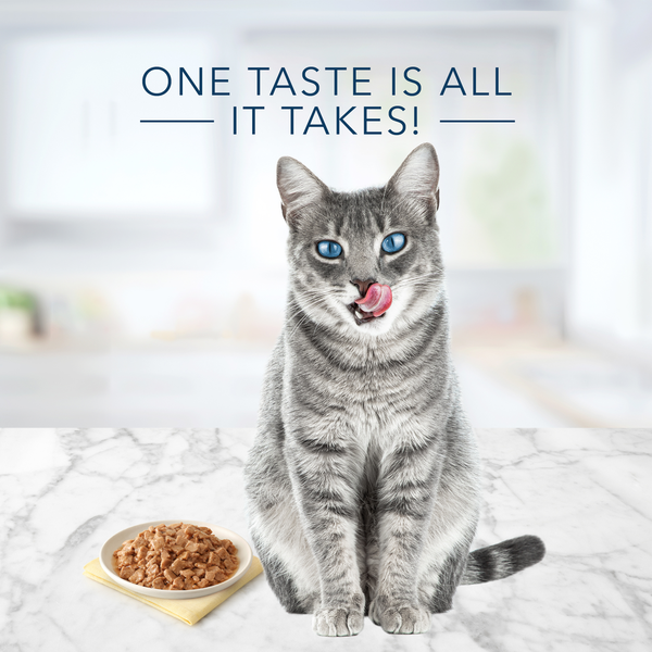 Blue Buffalo Tastefuls Flaked Wet Cat Food, Tuna, Chicken and Fish & Shrimp Variety Pack DestGlow