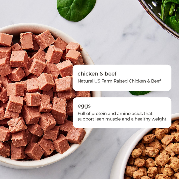 Freshpet Fresh Cat Food, Chicken & Beef Recipe Roll