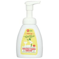 Rebel Green Organic Foaming Hand Soap️