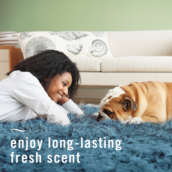 Febreze Odor-Fighting Fabric Refresher, Pet Odor Fight Scent