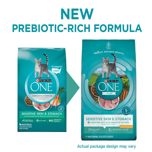 Purina ONE Natural Dry Cat Food, Sensitive Skin & Stomach Formula