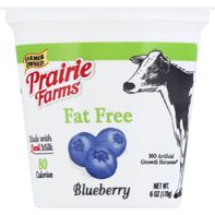 Prairie Farms Yogurt, Fat Free, Blueberry, Blended️