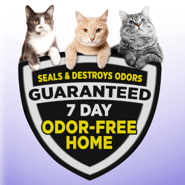 Arm & Hammer Clump & Seal Slide Easy Clean-Up Multi-Cat Clumping Cat Litter