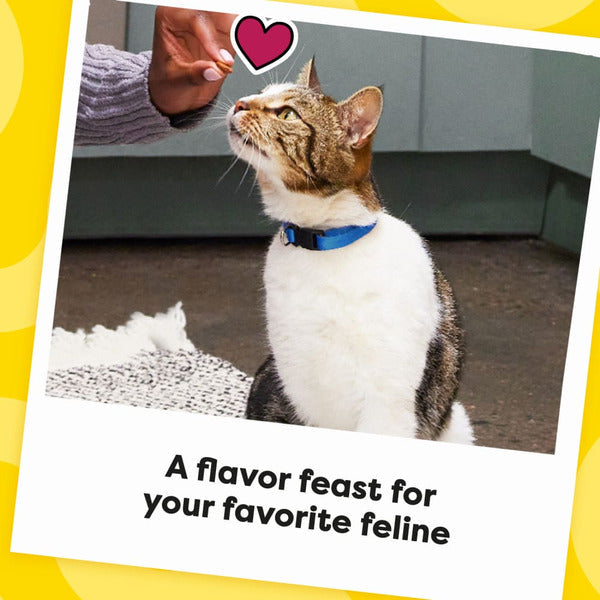 TEMPTATIONS MixUps Crunchy and Soft Cat Treats Surfers&