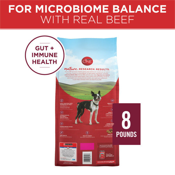 Purina ONE Small Bites Beef and Rice Formula Small Dog Food Dry