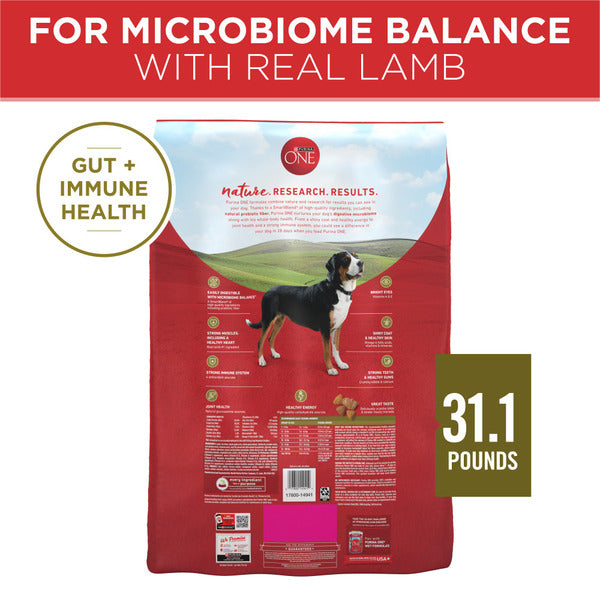 Purina ONE Dry Dog Food Lamb and Rice Formula