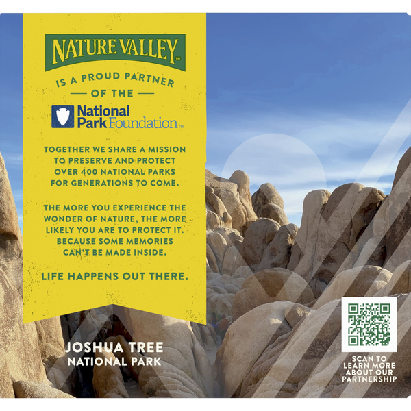 Nature Valley Dark Chocolate Nut Chewy Fruit and Nut Granola Bars