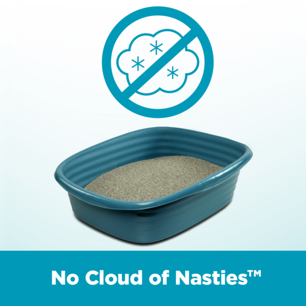 Arm & Hammer Cloud Control Breathe Easy Clumping Multi-Cat Litter