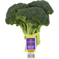 Fresh - Organic Broccoli -️