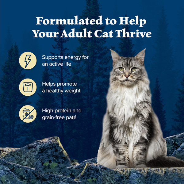 Blue Buffalo Wilderness High Protein Pate Wet Cat Food,, Chicken, Salmon & Duck Variety Pack