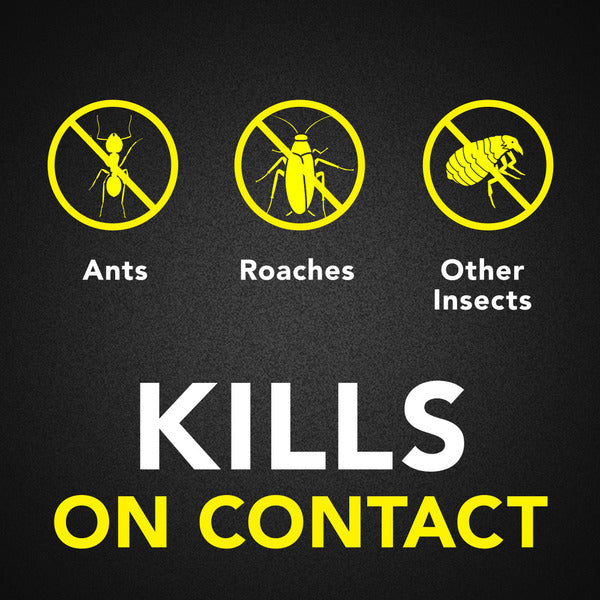 Raid® Ant and Roach Killer Insecticide Aerosol Spray, Lavender Scent