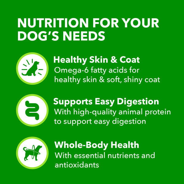 IAMS Proactive Health Adult Wet Dog Food Classic Ground with Lamb & Whole Grain Rice