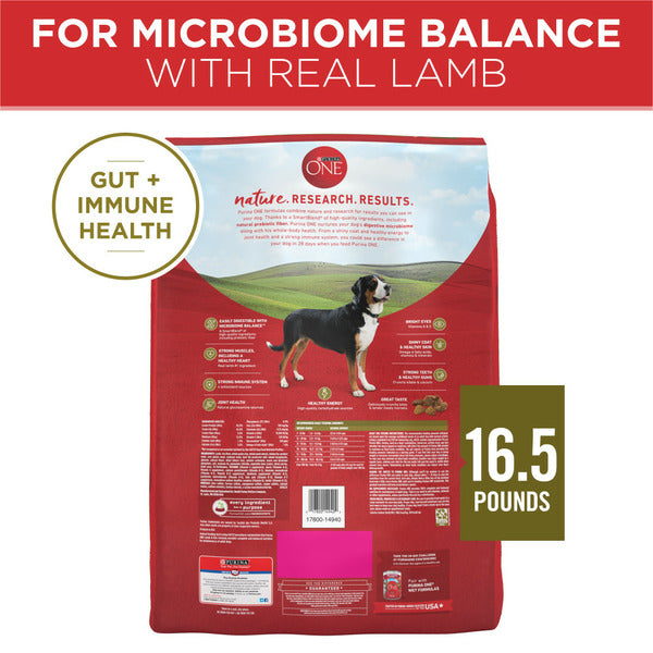 Purina ONE Dry Dog Food Lamb and Rice Formula