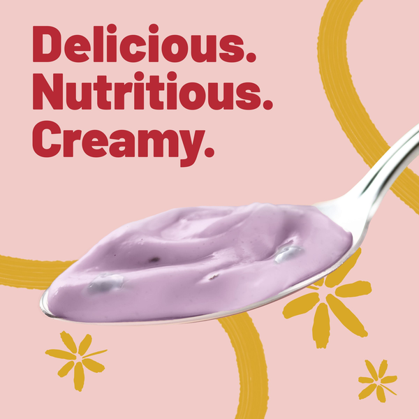 Yoplait Original Low Fat Mountain Blueberry Yogurt Cup