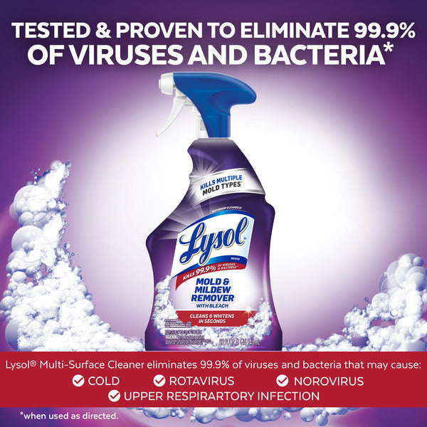 Lysol Disinfecting Mold & Mildew Remover Spray with Bleach