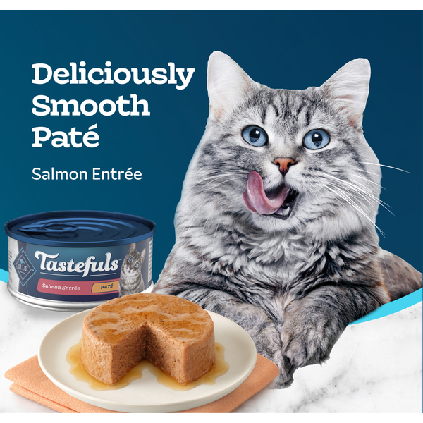 Blue Buffalo Tastefuls Natural Pate Wet Cat Food, Salmon Entrée