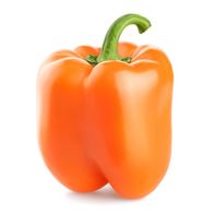 Orange Bell Pepper️