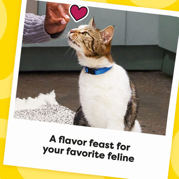 TEMPTATIONS MixUps Crunchy and Soft Cat Treats Backyard Cookout Flavor