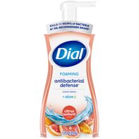 Dial Antibacterial Foaming Hand Wash, Citrus Sunbu...
️
