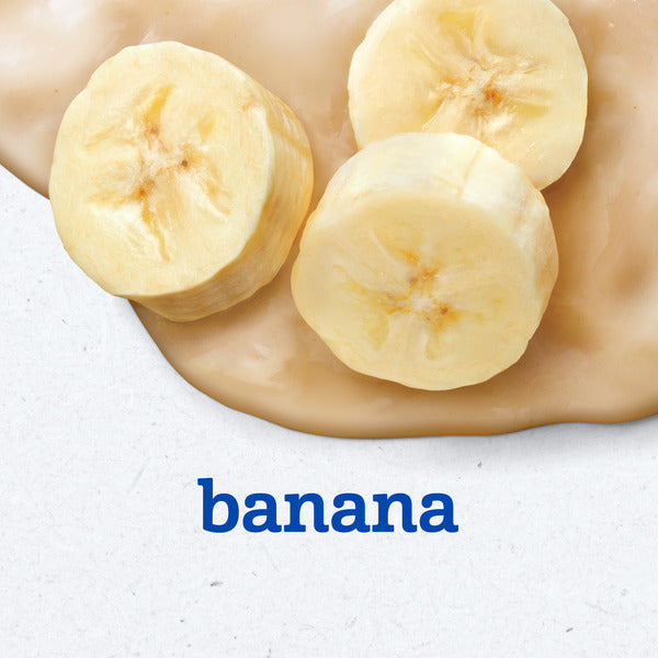 Gerber 1st Foods Bananas