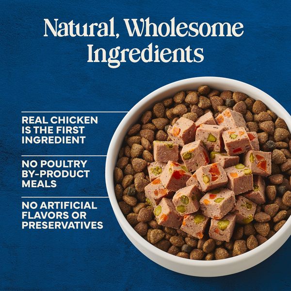 Blue Buffalo Love Made Fresh Dog Food, Refrigerated, Chicken Recipe